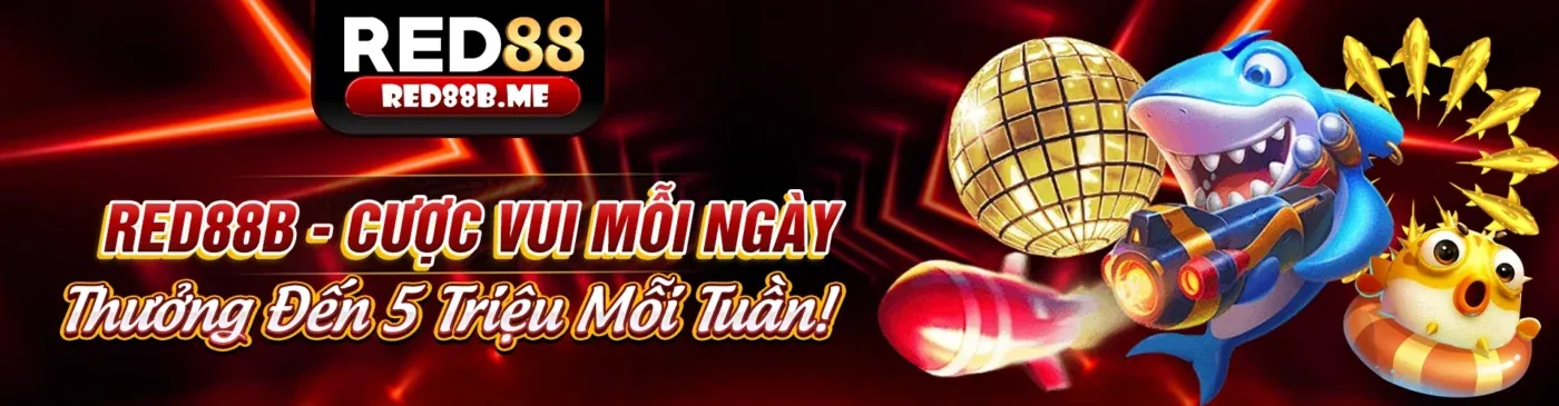 Hình ảnh tổng quan về tin tức Sbobet Nhà Cái